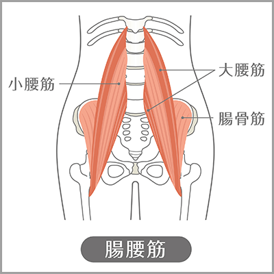 腸腰筋の寝ながらストレッチ3選 テニスボールを使ったやり方も紹介